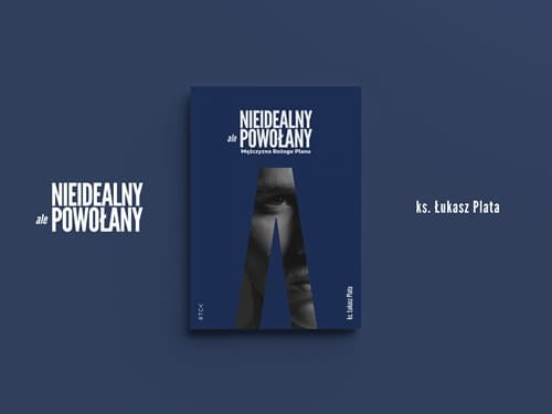 Nieidealny, ale powolany - książka